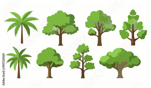 Modern flat tropical trees vertical set isolated on white background for infographic and advertising design
