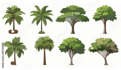 Realistic tropical trees vector elements isolated on white background for resort branding and architectural visualization