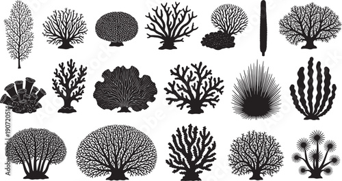 Collection of black silhouette coral reef marine life and sea plants ocean