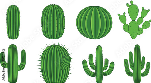 Cactus plants set with desert succulents saguaro barrel and prickly pear