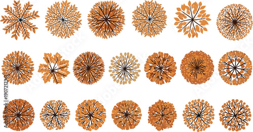 Autumn, Tree, Canopy, Topview, Fall, Foliage, Nature, Forest, Seasonal, Landscape, Botanical, Orange, Brown, Ecology, Environment, Vector, Illustration, Design, Collection, Set