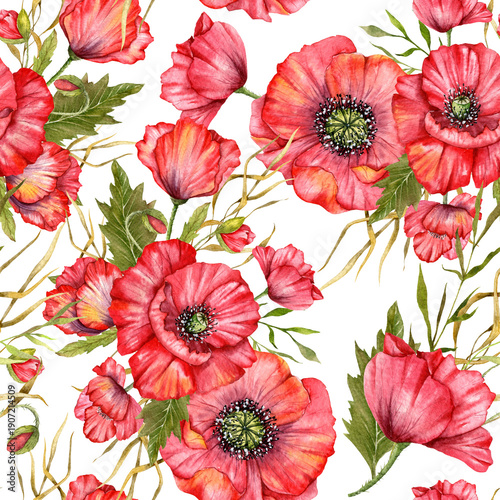 Poppy Seamless Pattern Hand Painted Watercolor. Summer Seamless background with Red Blooming Poppies