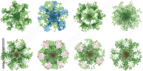 Tree, Canopy, Topview, Nature, Forest, Green, Foliage, Botanical, Landscape, Ecology, Environment, Garden, Park, Summer, Natural, Vector, Illustration, Design, Collection, Set