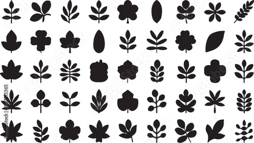 Leaf Collection: A comprehensive compilation of diverse leaf silhouettes showcases the beauty and variation found in the natural world