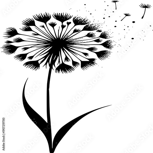 Dandelion : A monochrome dandelion releases its seeds, floating gently. This image evokes feelings of fragility and freedom.