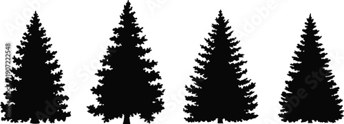 Pine tree silhouettes set isolated on white background, evergreen forest icons, black fir spruce shapes, nature design elements