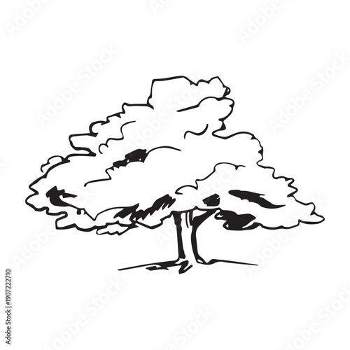 Large tree with wide lush canopy seen from a distance, hand drawn black ink line art illustration in sketchy whimsical doodle style, isolated on white background.