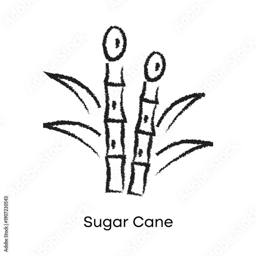 Sugar Cane Outline Icon – Agricultural Crop Line Vector