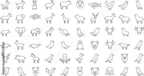 Minimalist animal line icon set featuring domestic pets, wild safari animals, farm livestock, birds, and sea creatures for educational children's books and web design.