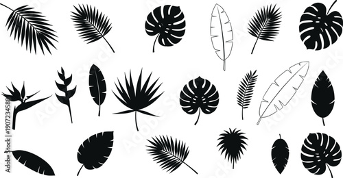 Large tropical leaf silhouette vector set with monstera deliciosa, palm fronds, banana leaves, and bird of paradise for summer jungle theme designs.