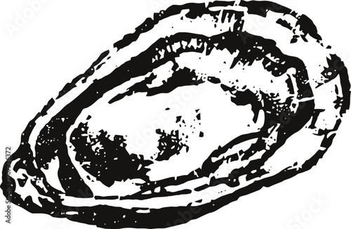 Black and white illustration of an oyster shell, detailed seashell drawing, ocean marine life element