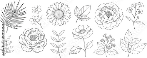 Hand drawn botanical floral vector set with sunflower, peony, wild flowers, and tropical leaves for wedding invitations, spring greeting cards, and organic branding.