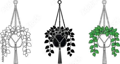 Collection of hanging plant pot illustrations macrame hanger design in outline silhouette and color perfect for home decor and botanical graphics