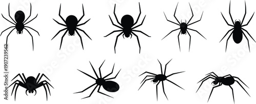 Black spider silhouette vector set with different poses, spooky Halloween insect icons, creepy arachnid collection for horror decoration design, isolated on white background.