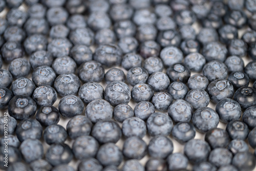 Tight repeating blueberry mosaic creating graphic texture and rhythm, even lighting and neutral tones produce modern abstract food backdrop suited for packaging and advertising