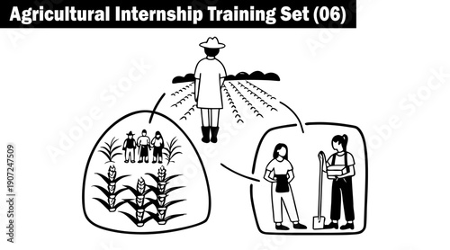 Agricultural internship training set illustrating farm work, crop growth, and team collaboration in black and white line art diagrams vector illustration.