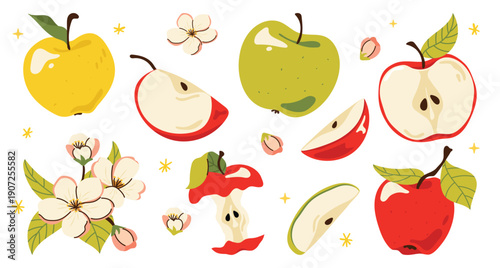 Set of fresh vector apples in different shapes and slices. Fruits with leaves, apple blossom flowers.  Cute flat illustration perfect for spring designs, packaging, prints, stickers. Isolated on white