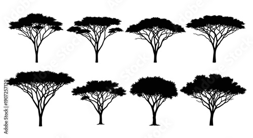 Silhouette collection of african acacia trees against a white background