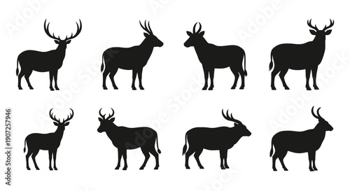Silhouettes of majestic deer in various poses and antler configurations