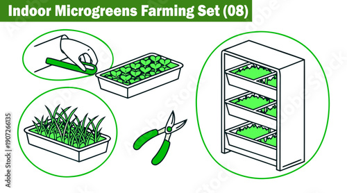 Indoor microgreens farming set with growing rack tray and hand harvesting seedlings scissors for healthy food preparation and fresh organic cultivation vector illustration.