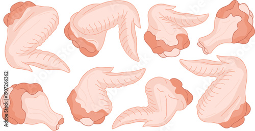 Cartoon Chicken Wing Illustration Set with Raw Poultry Meat Pieces in Different Angles for Food Packaging Restaurant Menus and Vector Designs