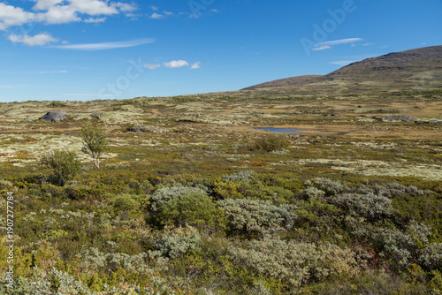 Mountain landscape in the Dovrefjell nationalpark in Norway
