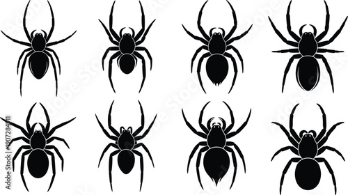 Black Spider Silhouette Illustrations – Creepy Arachnid Graphics, Halloween Insect Art, Scary Bug Icons, Educational Biology Vector for Stock Design