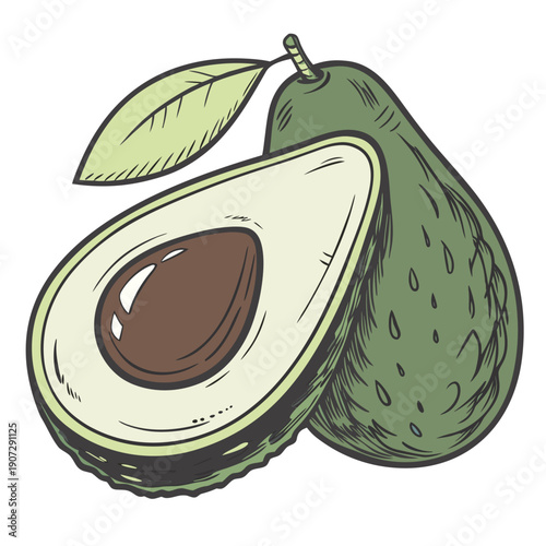 Avocado Whole and Halved with Leaf Vector Illustration