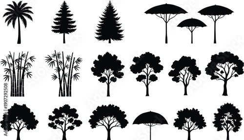 Tree and plant silhouettes collection, palm, conifer, bamboo, umbrella shape, broadleaf, botanical forms, landscape design, nature reference – flat vector illustration
