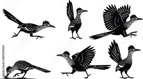 Greater roadrunner bird silhouette collection featuring desert wildlife in various poses including running, standing, hunting, and flapping wings for southwestern nature design.
