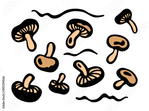 Horizontal banner with the image of edible mushrooms. Hand drawing, vector illustration on a white isolated background