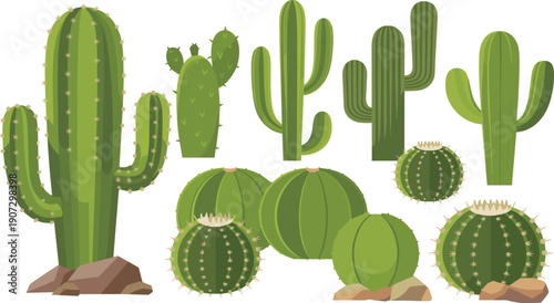 Desert cactus set with saguaro, barrel cactus and prickly pear in flat vector style, green botanical illustration collection isolated on white background.