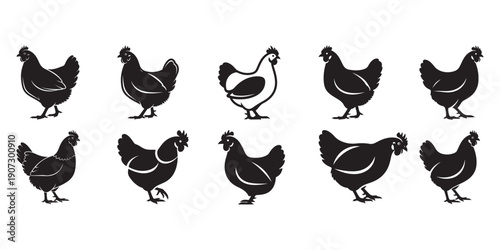 chicken silhouette vector file