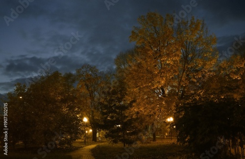 Autumn urban landscape. Yellow orange trees and leafy alley path. Lights and shadows in light of lanterns