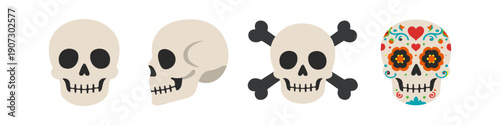 Collection of four distinct skull illustrations, including plain, profile, crossbones, and decorated