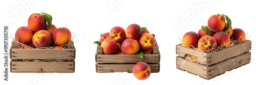 Foto Fresh Ripe Nectarine Set – Juicy Red Peaches in Rustic Wooden Crate PNG