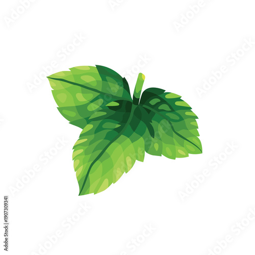 Simple vector flat  illustration of a light green leaf
