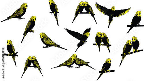 Vector Silhouette Set of Yellow and Black Budgies and Parakeets in Various Poses Including Flying Perching and Pair Bonding