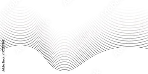 An abstract black and white vector background features dynamic wave lines and a futuristic curve pattern for a digital technology wallpaper design illustration