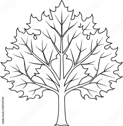 Detailed leaf vein tree outline artwork representing natural forest growth ideal for eco friendly design concepts