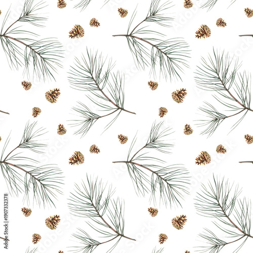 A pattern of pine branches and cones on a white. Watercolor illustration, drawing for fabric.