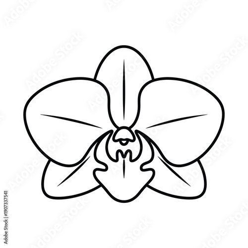 Black and white line of a stylized orchid flower with detailed petals line black and white de