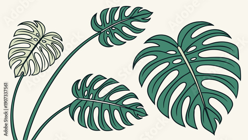 Lush Green Monstera Leaves Tropical Plant Illustration for Home Decor Web Design Summer Branding Projects