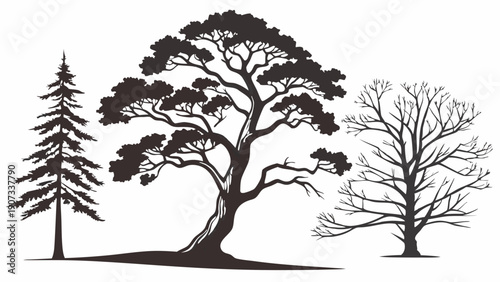 Diverse Tree Silhouettes Vector Set for Landscape Design Forestry Ecology Website Icons