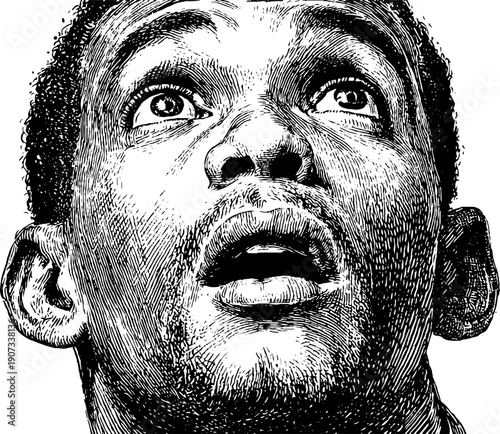 Awe and wonder: upward gaze in vintage botanical style