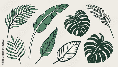 Tropical Leaf Set Vector Illustrations for Summer Vacation Posters Web Banners Exotic Botanical Design Projects