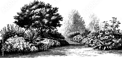 Mist rising from ground with lush botanical scenery and vintage engraving in black ink