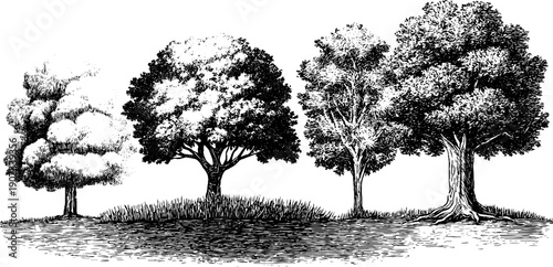 November botanical cycle: bare landscapes and vintage trees engraving for nature design