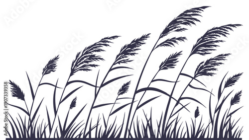 Tall Reeds Blowing in Strong Wind Silhouette for Nature Website Design or Environmental Background Graphic Element