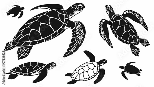 Sea Turtle Silhouettes Collection Diverse Marine Life Graphics for Ocean Conservation Design and Wildlife Projects